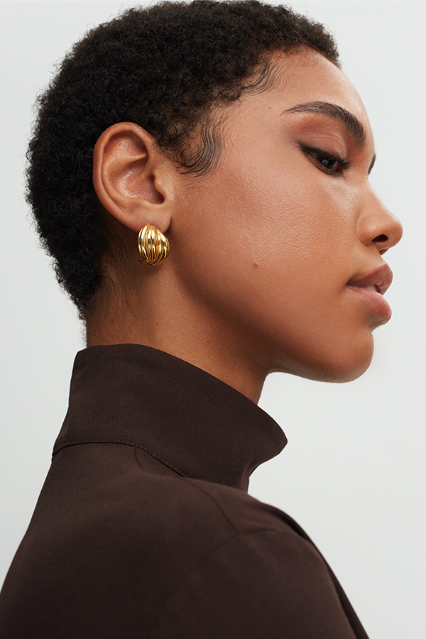 Veil Earrings in Silver