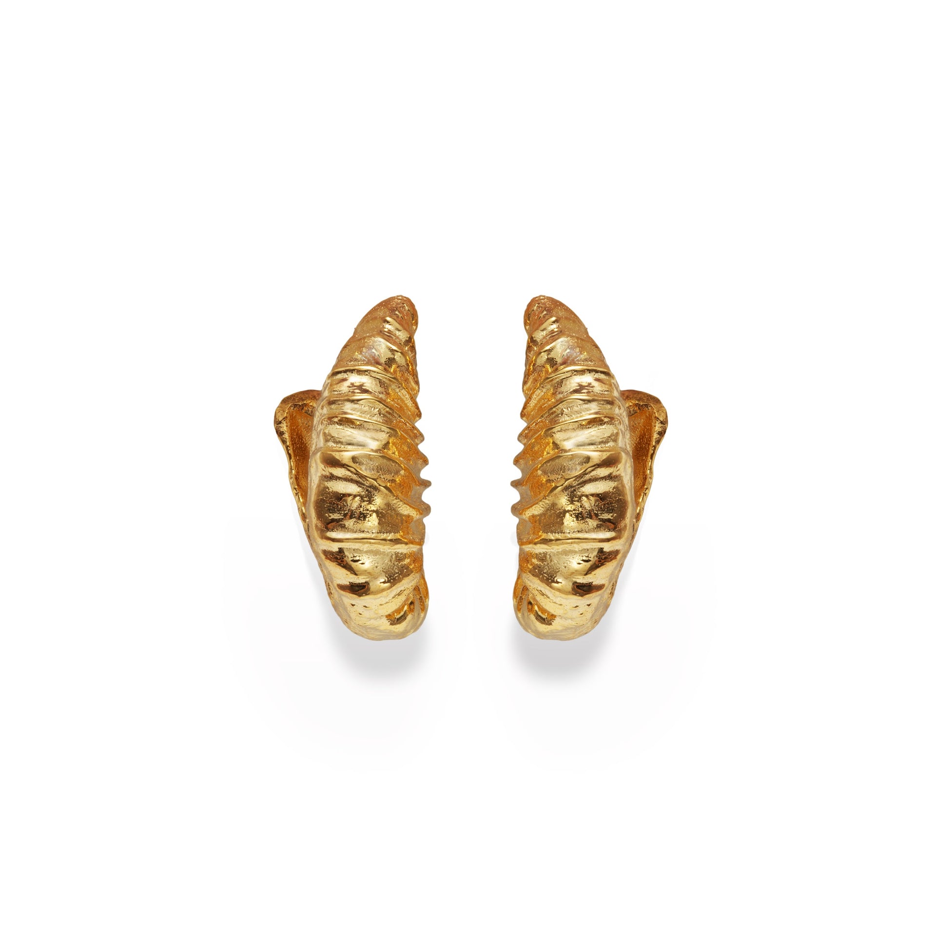 SEASHELL HOOP EARRINGS